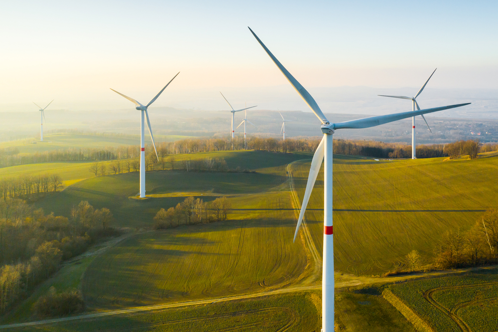 NAVIGATING THE PATH TO NET ZERO: BALANCING OFFSET STRATEGIES FOR A SUSTAINABLE FUTURE